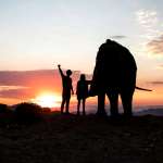 Jenna Ortega, Martin Lion