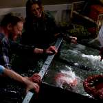 Cassie Scerbo, Jaason Simmons, Ian Ziering