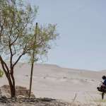 B&aacute;rbara Lennie