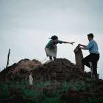 Marcin Dorociński, Agata Kulesza