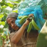Gael Garc&iacute;a Bernal