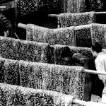 Y&ucirc;z&ocirc; Kayama, Terumi Niki, Yoshitaka Zushi