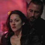 Matthias Schoenaerts, Marion Cotillard