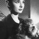 Audrey Hepburn