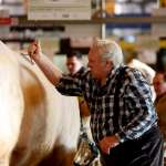 G&eacute;rard Depardieu