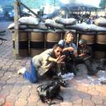 John Savage, James Woods