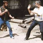 Chuck Norris, David Carradine