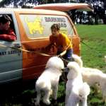 Keanu Reeves, Charlize Theron