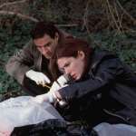 Sandra Bullock, Ben Chaplin