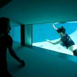 Rooney Mara, Michael Fassbender