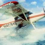 Sandra Bullock, Jason Patric