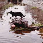 Aleksandr Kaydanovskiy