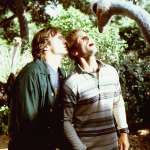 Seann William Scott, Ashton Kutcher