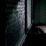 Arly Jover, Mathieu Kassovitz