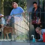 Patricia Kazadi, Piotr Zborowski, Piotr Adamczyk, Rafał Dziwisz