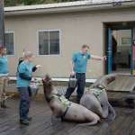 Alex Roe, Fola Evans-Akingbola, Eline Powell