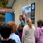 Fola Evans-Akingbola