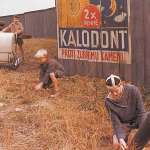 V&aacute;clav Jakoubek, Radoslav Bud&aacute;č