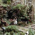 Kate Maberly, Heydon Prowse, Andrew Knott