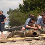 Michael Stuhlbarg, Armie Hammer, Timoth&eacute;e Chalamet