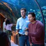 Mark Wahlberg, Will Ferrell