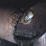 Bill Skarsg&aring;rd