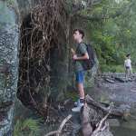 Jaeden Lieberher, Wyatt Oleff, Finn Wolfhard, Jack Dylan Grazer