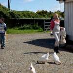 Dagny Backer Johnsen, Elias S&oslash;vold-Simonsen