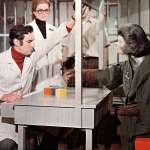 Bradford Dillman, Natalie Trundy, Kim Hunter