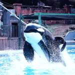 Lori Petty, Jason James Richter, August Schellenberg