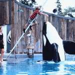 Lori Petty, Jason James Richter