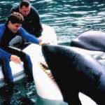 Jason James Richter, August Schellenberg