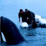 Jason James Richter, August Schellenberg