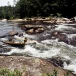 Ronny Cox, Jon Voight