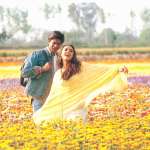 Shah Rukh Khan, Preity Zinta