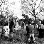 Jos&eacute; Calvo, Jos&eacute; Manuel Mart&iacute;n, Luis Heredia, Lola Gaos, Silvia Pinal, Joaqu&iacute;n Roa