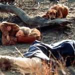 Ethan Embry, Reese Witherspoon