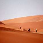 Ethan Embry, Reese Witherspoon, Sarel Bok