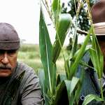 Robert Duvall, Michael Caine