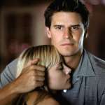 David Boreanaz, Marley Shelton