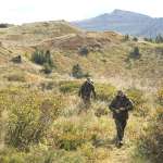 Leszek Lichota, Dagmara Bąk