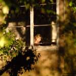 Sarah Michelle Gellar