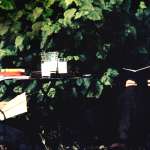 Albert Finney, Ben Silverstone