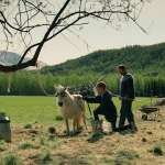 J&oslash;rgen Langhelle, Odin Eikre