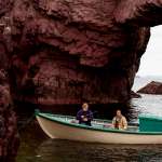 Brendan Gleeson, Taylor Kitsch