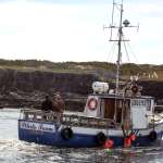 Brendan Gleeson, Taylor Kitsch