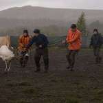 Peter Stormare, Robin Lundberg