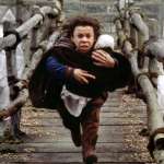 Warwick Davis