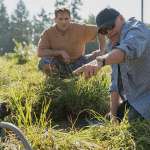 Robert Zemeckis, Steve Carell