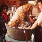 Whoopi Goldberg, Bobcat Goldthwait